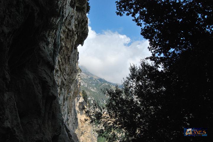 falesia della ianara.JPG